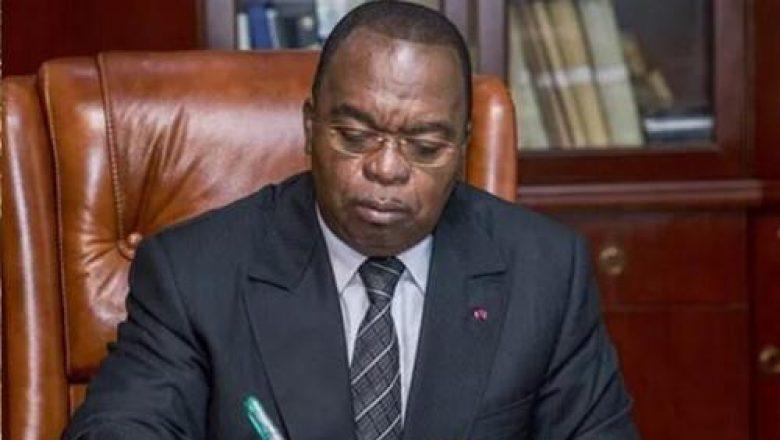 Le Minfi appelle la diaspora à déclarer leurs biens d’origine camerounaise Le Minfi appelle la diaspora à déclarer leurs biens d’origine camerounaise