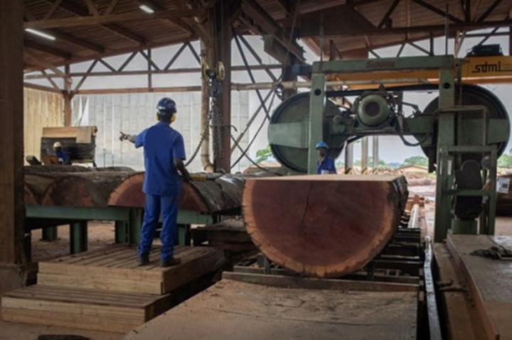 Industrie : les prix sortie-usine en hausse de 0,9% au premier trimestre 2024, tirés par le bois et les textiles Industrie : les prix sortie-usine en hausse de 0,9% au premier trimestre 2024, tirés par le bois et les textiles