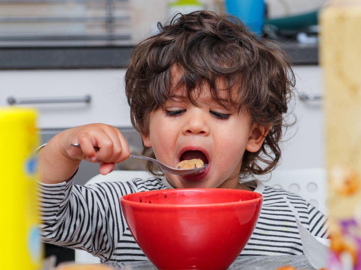 Céréales du petit déjeuner : une étude révèle que celles pour enfants sont les pires pour eux, voici par quoi les remplacer Céréales du petit déjeuner : une étude révèle que celles pour enfants sont les pires pour eux, voici par quoi les remplacer