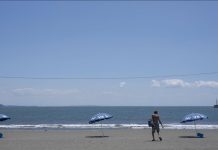 Tsunami dans le Pacifique: Vagues Jusqu’À 4M en Polynésie Tsunami dans le Pacifique: Vagues Jusqu'À 4M en Polynésie