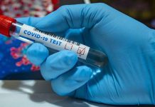 COVID-19 De Retour Au Cameroun, Alerte De Manaouda COVID-19 De Retour Au Cameroun, Alerte De Manaouda