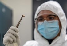 Raisons de la Longévité des Pandémies de Peste Raisons de la Longévité des Pandémies de Peste