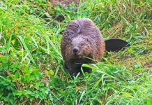 Bonnes Nouvelles Scientifiques D’Octobre 2025 Bonnes Nouvelles Scientifiques D'Octobre 2025