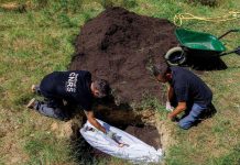 Compostage Funéraire Une Alternative Écologique Compostage Funéraire Une Alternative Écologique