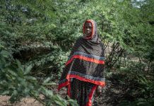 Le Fléau Du Prosopis En Éthiopie Le Fléau Du Prosopis En Éthiopie