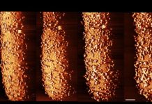 Voici l’effet d’un antibiotique sur une bactérie Voici l'effet d'un antibiotique sur une bactérie