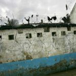 New Bell: Bonnes Nouvelles Pour Les Enfermés New Bell: Bonnes Nouvelles Pour Les Enfermés