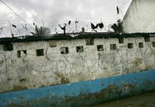 New Bell: Bonnes Nouvelles Pour Les Enfermés New Bell: Bonnes Nouvelles Pour Les Enfermés