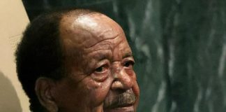 Alice Nkom Et La Résistance Virtuelle Contre Biya Alice Nkom Et La Résistance Virtuelle Contre Biya