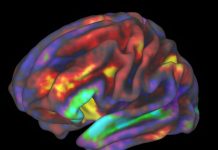 Transcription de la Pensée Visuelle par l’IA Possible Transcription de la Pensée Visuelle par l'IA Possible