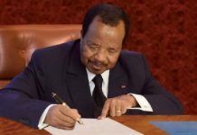 Willie Tsanga Mba Nommé Directeur Général de l’APN Willie Tsanga Mba Nommé Directeur Général de l'APN