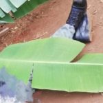 Armée Frappée Par Fusillade De Gendarmes Armée Frappée Par Fusillade De Gendarmes