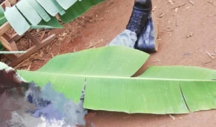 Armée Frappée Par Fusillade De Gendarmes Armée Frappée Par Fusillade De Gendarmes