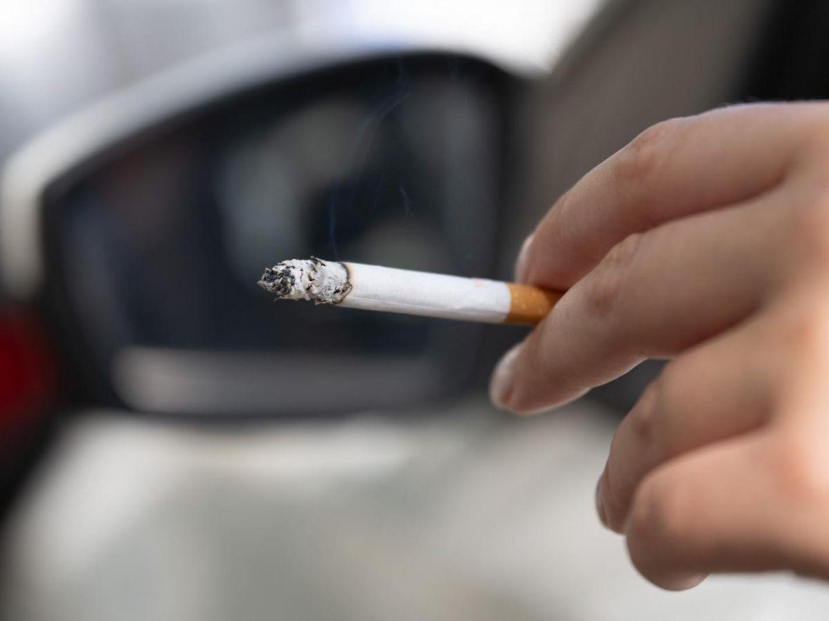 Impact Du Tabac Sur Le Système Immunitaire À Long Terme Impact Du Tabac Sur Le Système Immunitaire À Long Terme