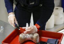 Cocaïne Surpasse Cannabis Comme Marché Illicite Principal Cocaïne Surpasse Cannabis Comme Marché Illicite Principal