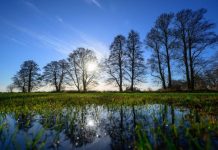 Le Silence Est-Il un Son? Le Silence Est-Il un Son?