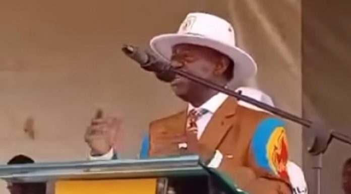 RDPC en Crise: Fame Ndongo Attaque la Famille Biya RDPC en Crise: Fame Ndongo Attaque la Famille Biya