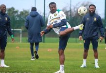 CAN 2026: Voici les Trois Capitaines des Lions Indomptables CAN 2026: Voici les Trois Capitaines des Lions Indomptables