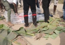 Drame: un Camionneur Roule sur Son Assistant Drame: un Camionneur Roule sur Son Assistant