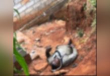 Yaoundé: Nuit Chaotique pour un Autre Trop Gourmand Yaoundé: Nuit Chaotique pour un Autre Trop Gourmand