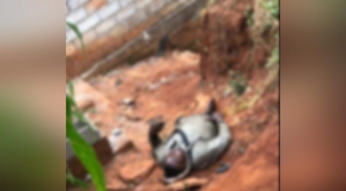 Yaoundé: Nuit Chaotique pour un Autre Trop Gourmand Yaoundé: Nuit Chaotique pour un Autre Trop Gourmand