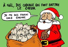 Cœur Artificiel: 2026 Cruciale Pour Nouveau Carmat Cœur Artificiel: 2026 Cruciale Pour Nouveau Carmat