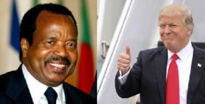 Panique à Etoudi Après le Rappel de Lamora par Trump Panique à Etoudi Après le Rappel de Lamora par Trump