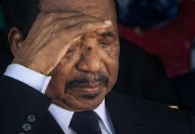 Starlink Au Cameroun: Biya Implique Des Conditions Sécuritaires Starlink Au Cameroun: Biya Implique Des Conditions Sécuritaires