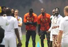 Argent Frais Pour Les Lions Indomptables Mouelle Kombi Argent Frais Pour Les Lions Indomptables Mouelle Kombi