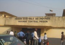 Détournement De Fonds Public: Opération Épervier Reprend Détournement De Fonds Public: Opération Épervier Reprend