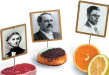 Effets de l’Alimentation sur la Santé Effets de l'Alimentation sur la Santé