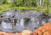 Pétrole Au Gabon: Retour Du Secret Et De L’Impunité Pétrole Au Gabon: Retour Du Secret Et De L'Impunité