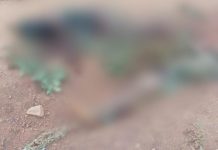 Deux Cadavres Découverts à Bamenda Deux Cadavres Découverts à Bamenda