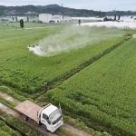 Produits Chimiques et Perturbation du Microbiote Intestinal Produits Chimiques et Perturbation du Microbiote Intestinal