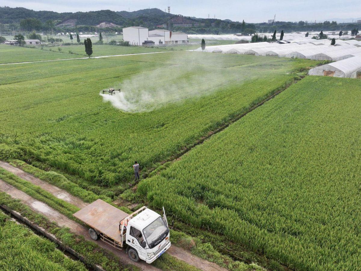 Produits Chimiques et Perturbation du Microbiote Intestinal Produits Chimiques et Perturbation du Microbiote Intestinal