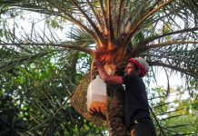 Nipah Et Autres Virus Rendant Le Diagnostic Difficile Nipah Et Autres Virus Rendant Le Diagnostic Difficile