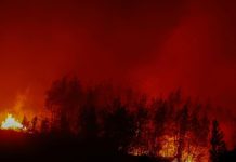 Janvier 2026, Un Des Mois Les Plus Chauds Jamais Enregistrés Janvier 2026, Un Des Mois Les Plus Chauds Jamais Enregistrés