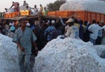 Enfant de Cotonculteur Porte Plainte Contre Gouvernement Enfant de Cotonculteur Porte Plainte Contre Gouvernement