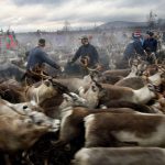 Les Samis, un Peuple en Sursis? Les Samis, un Peuple en Sursis?