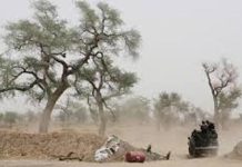 Alerte Météo: Panache de Poussières Dans le Nord Cameroun Alerte Météo: Panache de Poussières Dans le Nord Cameroun