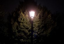 L’éclairage Urbain a un Effet Étonnant sur Vos Allergies L'éclairage Urbain a un Effet Étonnant sur Vos Allergies