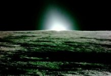 Vers de terre et champignons pour fertiliser la Lune Vers de terre et champignons pour fertiliser la Lune