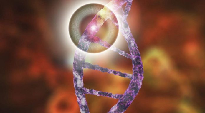 IA Identifie Mutations Génétiques de Maladies Rares IA Identifie Mutations Génétiques de Maladies Rares