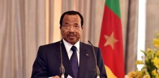 Cameroun Aucune Révision Constitutionnelle En Cours Cameroun Aucune Révision Constitutionnelle En Cours