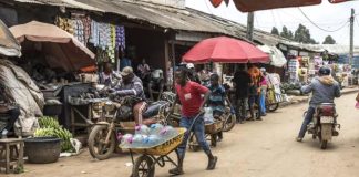 Alerte: Crise Alimentaire au Cameroun Alerte: Crise Alimentaire au Cameroun