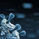 Omicron variant of COVID-19 detected in Cape Verde Omicron variant of COVID-19 detected in Cape Verde