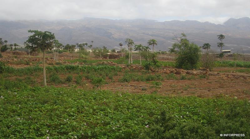 Porto Novo: There is the prospect of further new investments in desalination in 2022 for public consumption and agriculture Porto Novo: There is the prospect of further new investments in desalination in 2022 for public consumption and agriculture