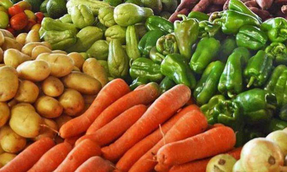 Daniel Xavier da Luz: “The impoverishment of agriculture in Santo Antão is not just about the embargo” Daniel Xavier da Luz: “The impoverishment of agriculture in Santo Antão is not just about the embargo”