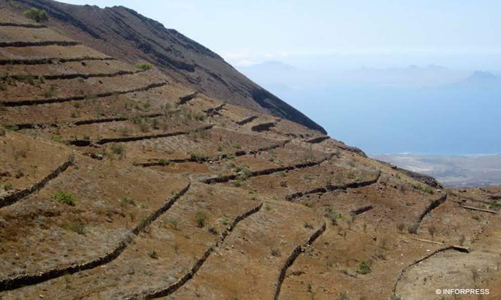 Porto Novo: Municipality admits food shortages and attributes basic food baskets to 116 poor families Porto Novo: Municipality admits food shortages and attributes basic food baskets to 116 poor families