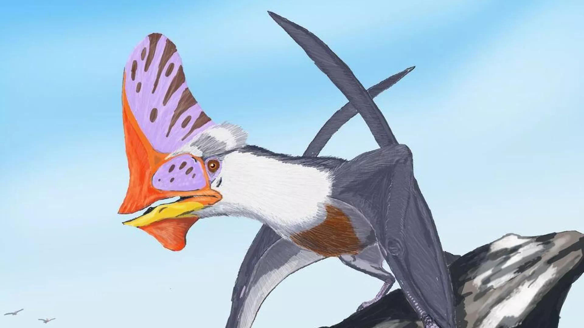 Scientists Find That Some Pterosaurs Altered Feathers' Color Due to Hormone, Much Like Birds Today